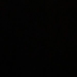 Meet your Posher, Troy